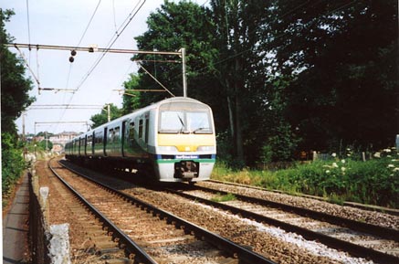 railgebill 1 jpg